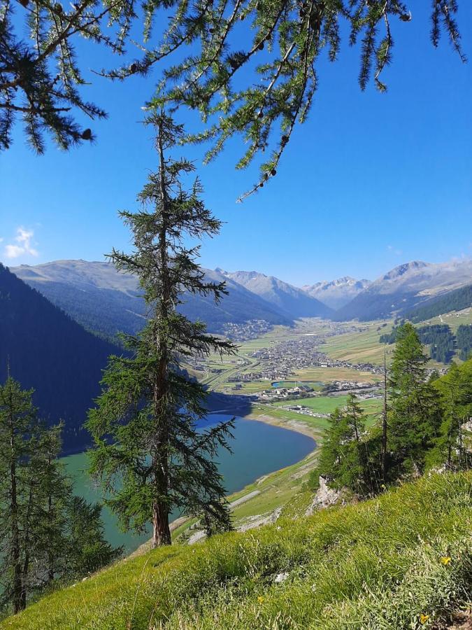 Ferienwohnung Casa Rainolter Livigno Exterior foto